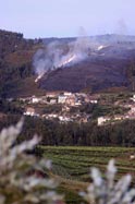 Incêndio na serra de Casconha.